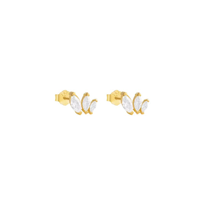 Cluster Studs
