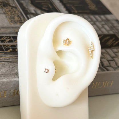 Everyday Barbell Bundle